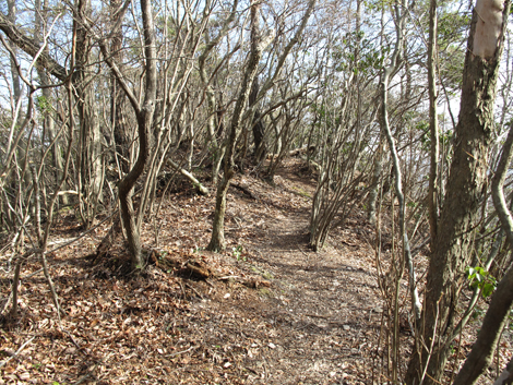 20140103hike (213)